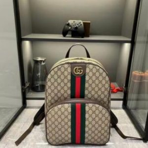 Gucci bag
